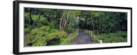 Tea Garden Walkway, San Francisco Botanical Gardens-Richard Berenholtz-Framed Art Print