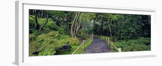 Tea Garden Walkway, San Francisco Botanical Gardens-Richard Berenholtz-Framed Art Print