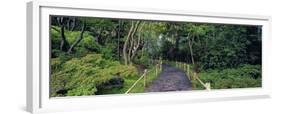 Tea Garden Walkway, San Francisco Botanical Gardens-Richard Berenholtz-Framed Art Print