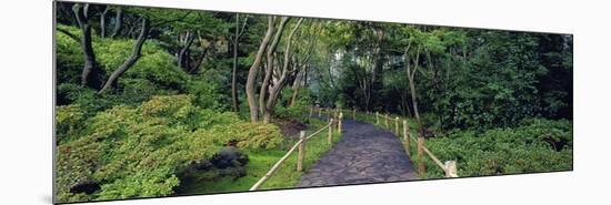 Tea Garden Walkway, San Francisco Botanical Gardens-Richard Berenholtz-Mounted Art Print