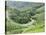 Tea Gardens, Munnar, Kerala, India, Asia-null-Stretched Canvas