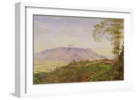 Tea Gathering in Mr. Hoelle's Plantation at Garoet, Java, circa 1875 (Board)-Marianne North-Framed Giclee Print