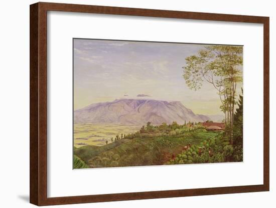 Tea Gathering in Mr. Hoelle's Plantation at Garoet, Java, circa 1875 (Board)-Marianne North-Framed Giclee Print