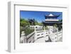 Tea House, Chinese Garden, Luisenpark Municipal Park, Mannheim, Baden Wurttemberg, Germany, Europe-Markus Lange-Framed Photographic Print