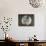 Tea House Window, Sesshuji Temple, Kyoto, Japan-Rob Tilley-Photographic Print displayed on a wall