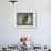 Tea House Window, Sesshuji Temple, Kyoto, Japan-Rob Tilley-Framed Photographic Print displayed on a wall