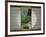 Tea House Window, Sesshuji Temple, Kyoto, Japan-Rob Tilley-Framed Photographic Print