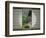 Tea House Window, Sesshuji Temple, Kyoto, Japan-Rob Tilley-Framed Photographic Print