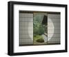 Tea House Window, Sesshuji Temple, Kyoto, Japan-Rob Tilley-Framed Photographic Print