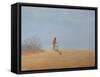 Tea in the Desert-Lincoln Seligman-Framed Stretched Canvas