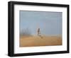 Tea in the Desert-Lincoln Seligman-Framed Giclee Print