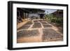 Tea Leaves Drying, Hsipaw, Shan State, Myanmar (Burma), Asia-Matthew Williams-Ellis-Framed Photographic Print