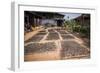 Tea Leaves Drying, Hsipaw, Shan State, Myanmar (Burma), Asia-Matthew Williams-Ellis-Framed Photographic Print