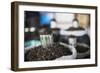 Tea Leaves in Hpa an Morning Market, Kayin State (Karen State), Myanmar (Burma), Asia-Matthew Williams-Ellis-Framed Photographic Print