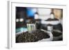 Tea Leaves in Hpa an Morning Market, Kayin State (Karen State), Myanmar (Burma), Asia-Matthew Williams-Ellis-Framed Photographic Print