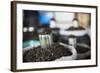 Tea Leaves in Hpa an Morning Market, Kayin State (Karen State), Myanmar (Burma), Asia-Matthew Williams-Ellis-Framed Photographic Print