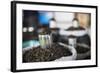 Tea Leaves in Hpa an Morning Market, Kayin State (Karen State), Myanmar (Burma), Asia-Matthew Williams-Ellis-Framed Photographic Print