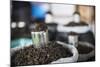 Tea Leaves in Hpa an Morning Market, Kayin State (Karen State), Myanmar (Burma), Asia-Matthew Williams-Ellis-Mounted Photographic Print