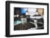 Tea Leaves in Hpa an Morning Market, Kayin State (Karen State), Myanmar (Burma), Asia-Matthew Williams-Ellis-Framed Photographic Print