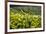 Tea Leaves, Munnar, Kerala, India, Asia-Balan Madhavan-Framed Photographic Print