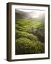 Tea Pickers Agriculture Growth Harvest Plantation Concept-Rawpixel com-Framed Photographic Print