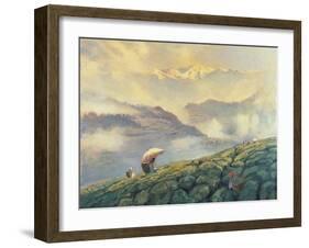 Tea Picking, Darjeeling, India, 1999-Tim Scott Bolton-Framed Giclee Print