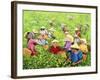 Tea Picking Girl, 1994-Komi Chen-Framed Giclee Print