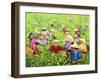 Tea Picking Girl, 1994-Komi Chen-Framed Giclee Print