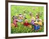 Tea Picking Girl, 1994-Komi Chen-Framed Giclee Print