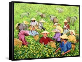 Tea Picking Girl, 1994-Komi Chen-Framed Stretched Canvas