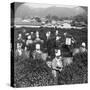 Tea-Picking in Uji, Japan, 1904-Underwood & Underwood-Stretched Canvas