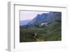 Tea Plantation and Factory, North of Nuwara Eliya, Central Sri Lanka, 20th century-CM Dixon-Framed Photographic Print