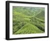 Tea Plantation, Cameron Highlands, Perak, Malaysia, Southeast Asia, Asia-Jochen Schlenker-Framed Photographic Print