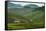 Tea Plantation in the Mountains of Southern Uganda, East Africa, Africa-Michael-Framed Stretched Canvas