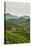 Tea Plantation in the Mountains of Southern Uganda, East Africa, Africa-Michael-Stretched Canvas
