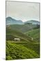 Tea Plantation in the Mountains of Southern Uganda, East Africa, Africa-Michael-Mounted Photographic Print