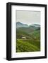 Tea Plantation in the Mountains of Southern Uganda, East Africa, Africa-Michael-Framed Photographic Print