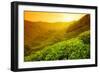 Tea Plantation Landscape at Sunrise-Liang Zhang-Framed Photographic Print