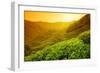 Tea Plantation Landscape at Sunrise-Liang Zhang-Framed Photographic Print