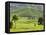 Tea Plantation Near Nyunguwe, Rwanda, Africa-Eric Baccega-Framed Stretched Canvas