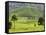 Tea Plantation Near Nyunguwe, Rwanda, Africa-Eric Baccega-Framed Stretched Canvas