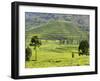 Tea Plantation Near Nyunguwe, Rwanda, Africa-Eric Baccega-Framed Premium Photographic Print