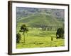 Tea Plantation Near Nyunguwe, Rwanda, Africa-Eric Baccega-Framed Photographic Print