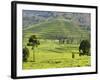 Tea Plantation Near Nyunguwe, Rwanda, Africa-Eric Baccega-Framed Photographic Print