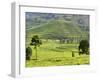 Tea Plantation Near Nyunguwe, Rwanda, Africa-Eric Baccega-Framed Photographic Print