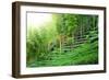 Tea Plantation with Bamboo Forest-Liang Zhang-Framed Photographic Print