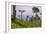 Tea Plantation-Matthew Williams-Ellis-Framed Photographic Print