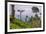 Tea Plantation-Matthew Williams-Ellis-Framed Photographic Print