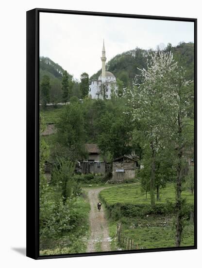 Tea Plantations and Almond Blossom in Coastal Region, Trabzon Area, Anatolia, Turkey-Adam Woolfitt-Framed Stretched Canvas