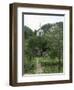 Tea Plantations and Almond Blossom in Coastal Region, Trabzon Area, Anatolia, Turkey-Adam Woolfitt-Framed Photographic Print